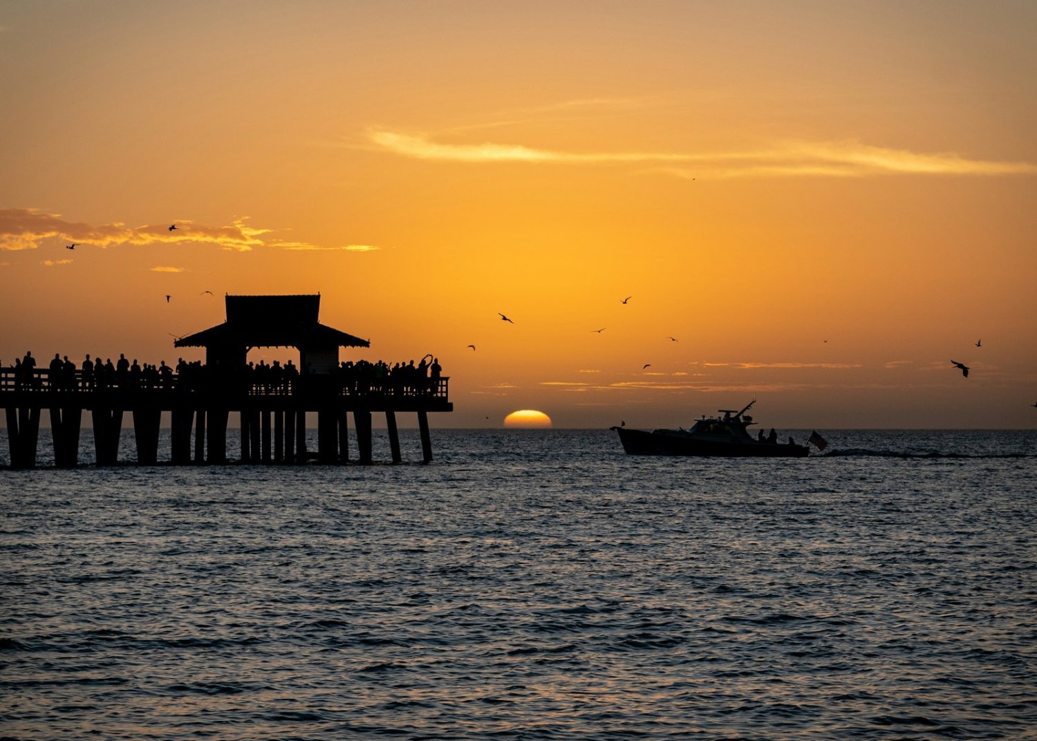 Birds over the Naples Pier at dusk