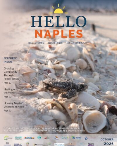 Hello Naples October 2026 cover: a sea turtle hatchling crossing shell-strewn sand