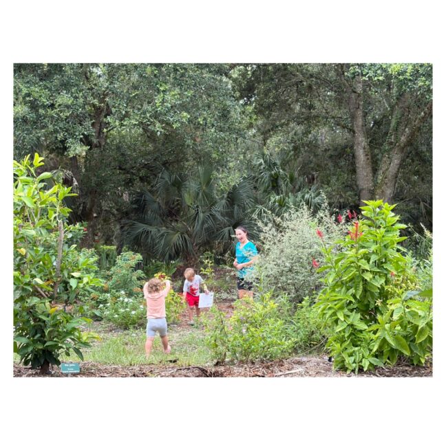 Children on a scavenger hunt through the food forest at Empowerment Farm
