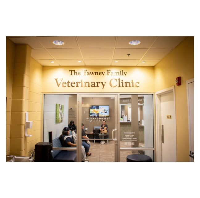 Pet owners waiting at the Yawney Family Veterinary Clinic in Naples