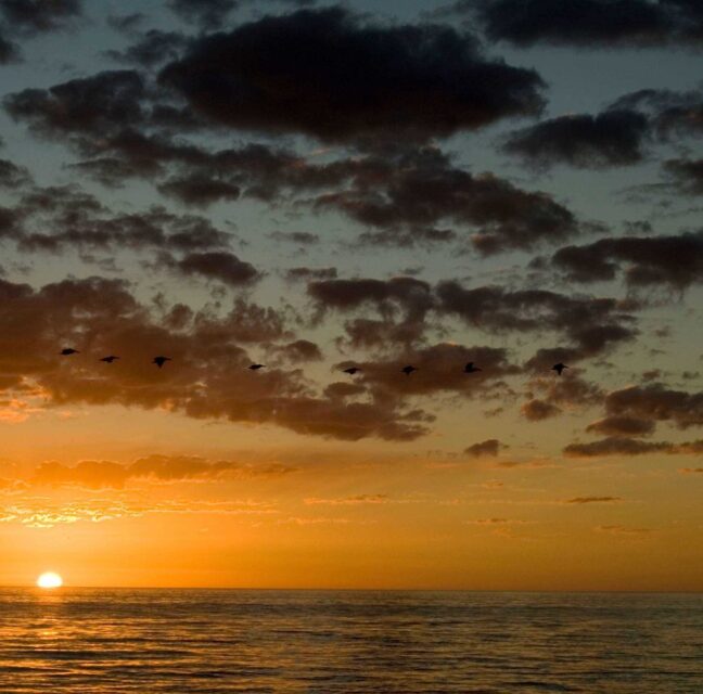 Sunset over the Gulf at Clam Pass Park in Naples. Photo: Collier County Parks & Recreation