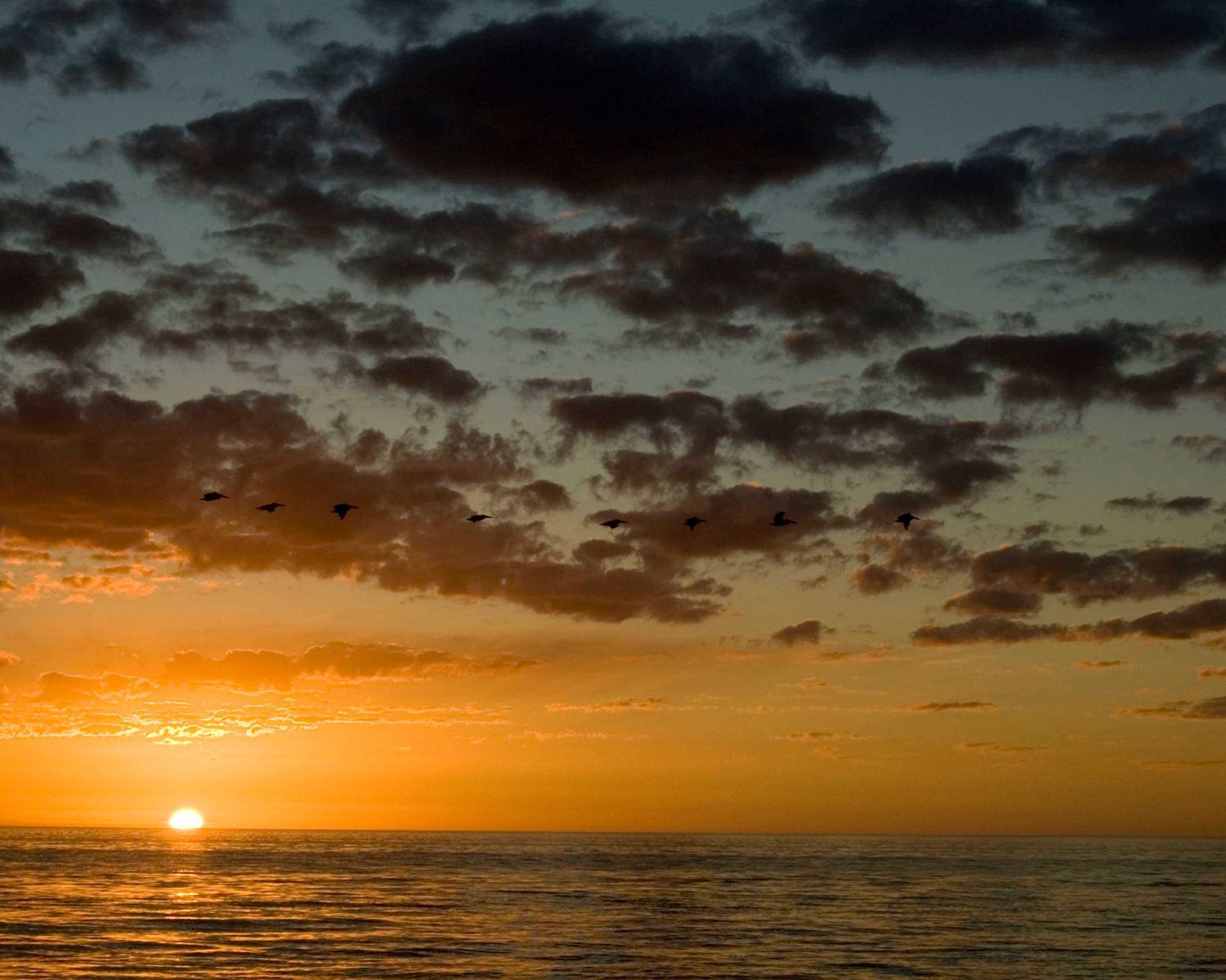 Sunset over the Gulf at Clam Pass Park in Naples. Photo: Collier County Parks & Recreation