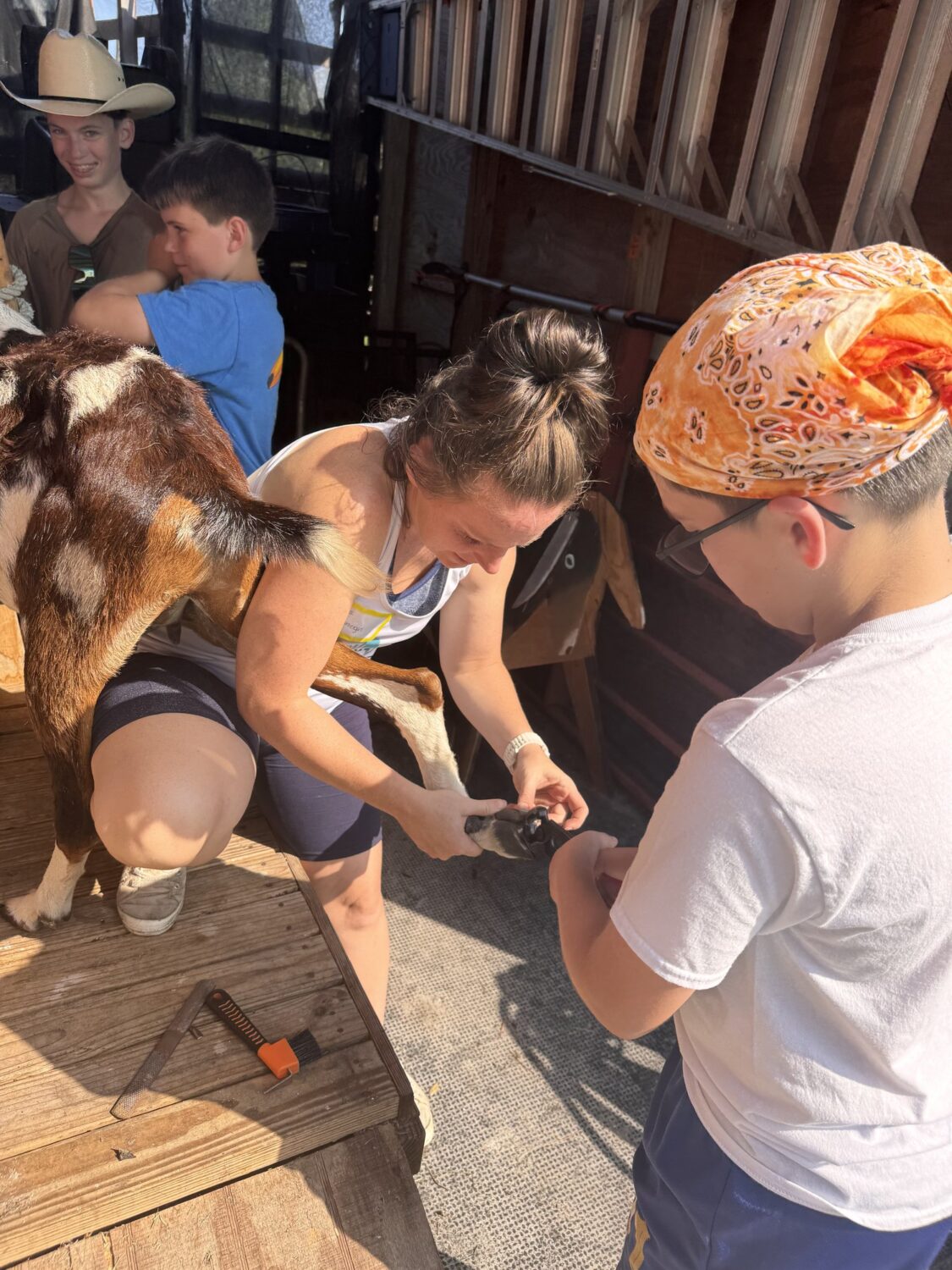 Student learning to pick a goat’s hoof with staff guidance
