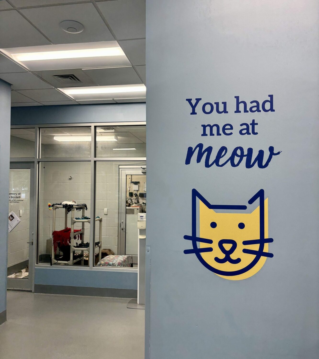 Von Arx Adoption Center lobby with a cat-themed wall graphic