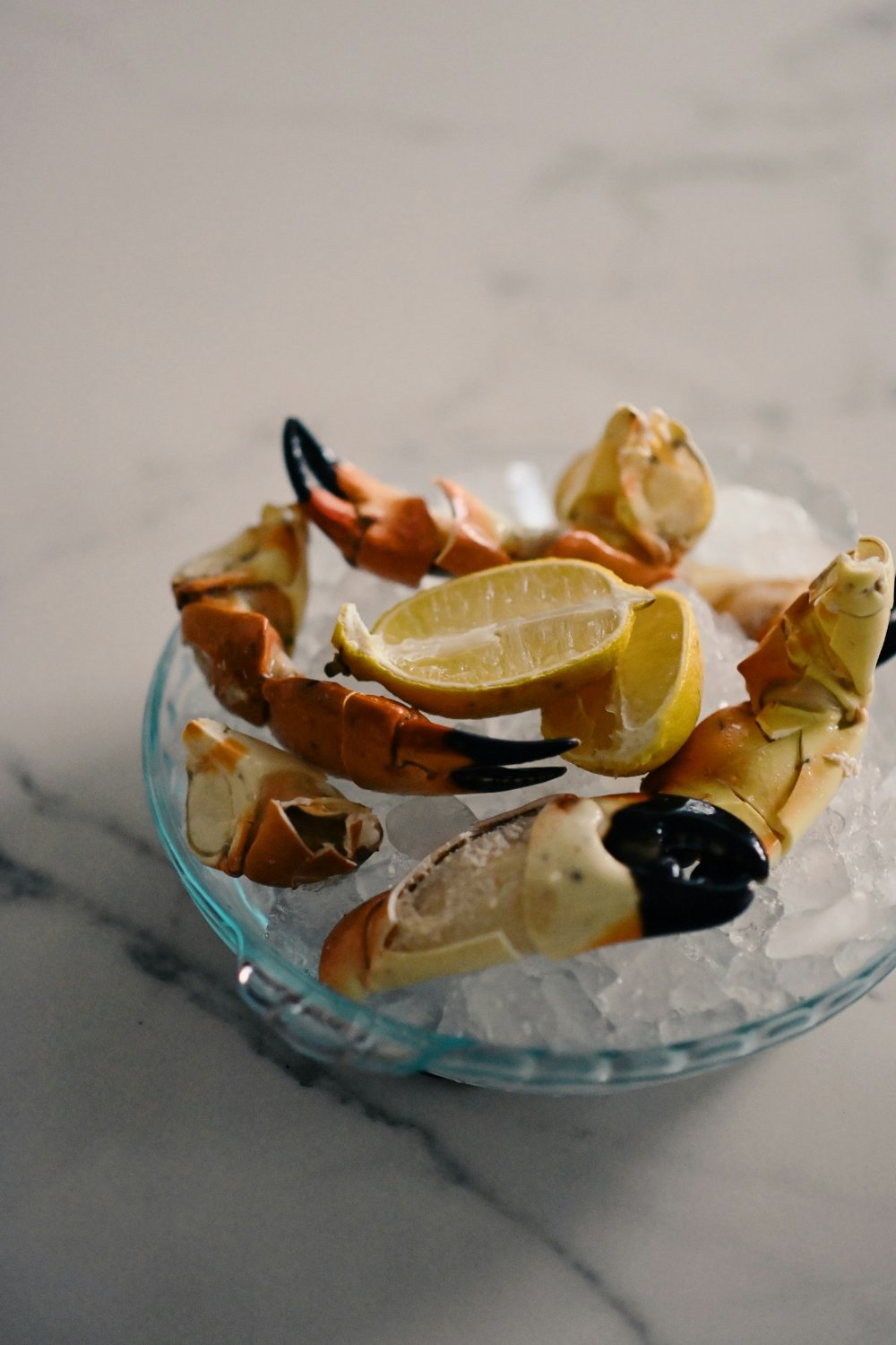 Stone crab claws with lemon on ice. Photo: Blake Wisz / Unsplash